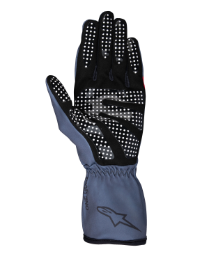 Tech-1 K Race V2 Pure Gloves